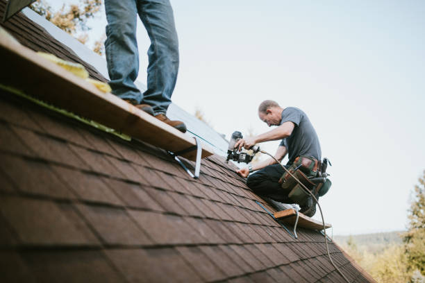 Quick and Trustworthy Emergency Roof Repair Services in Alpine, TX